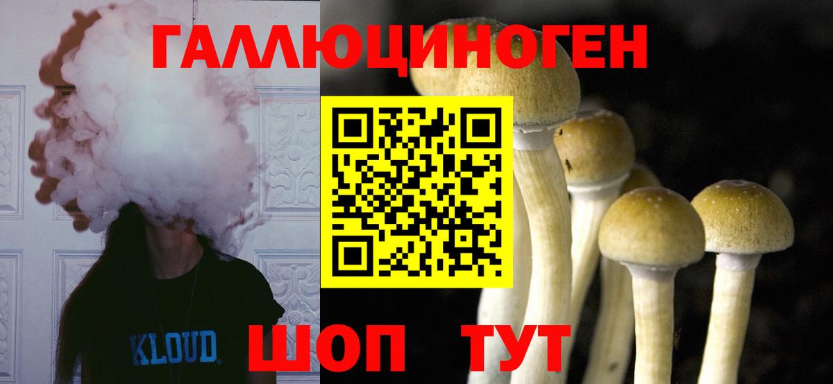 Изобильный  Галлюциногенные грибы прущие грибы  Вход с VPN  Псилоцибиновые грибы GOLDEN TEACHER 